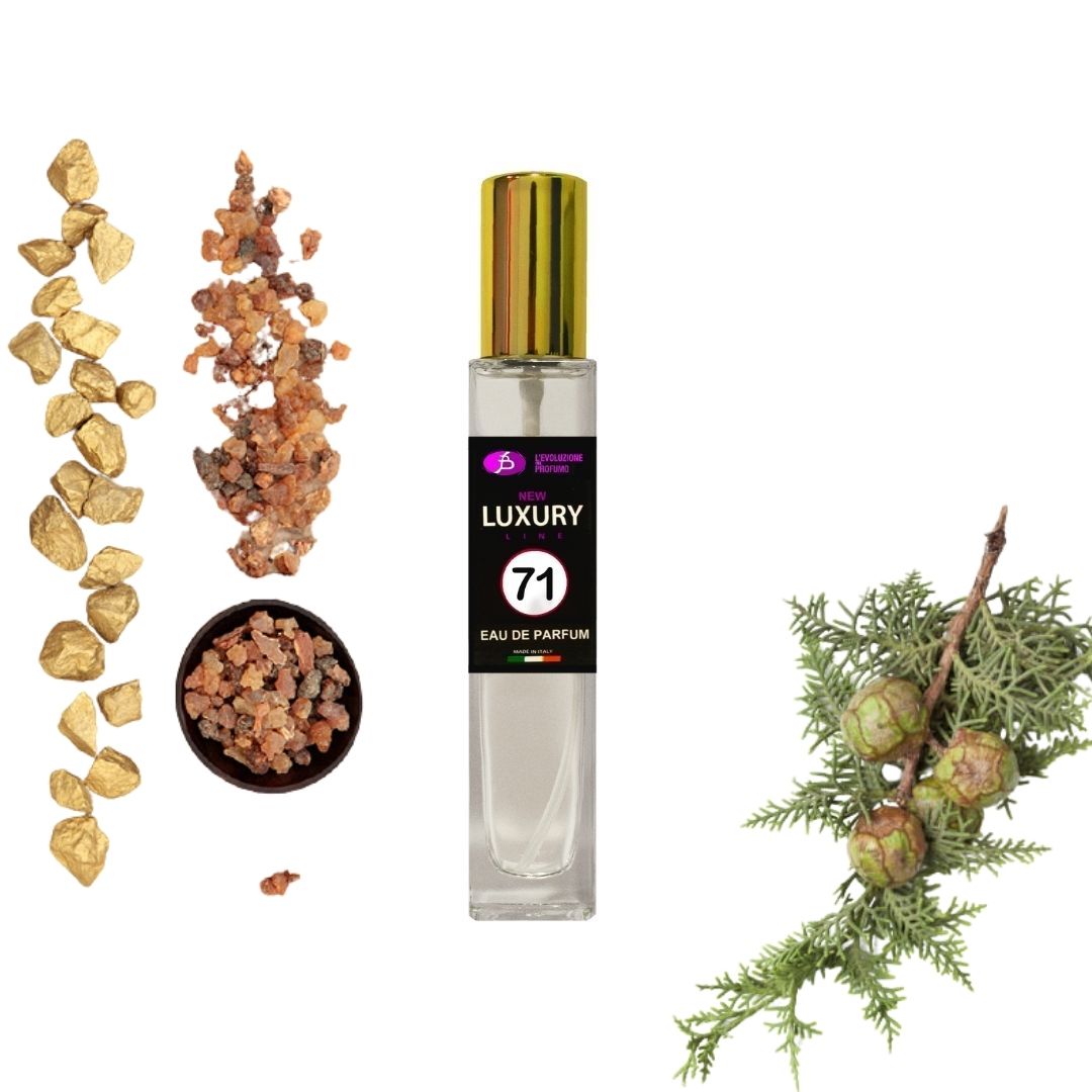 Eau de Parfum della stessa famiglia olfattiva di Dior Bois d'Argent 71 UNISEX